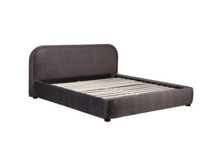 Moe s Colin Bed For Discount